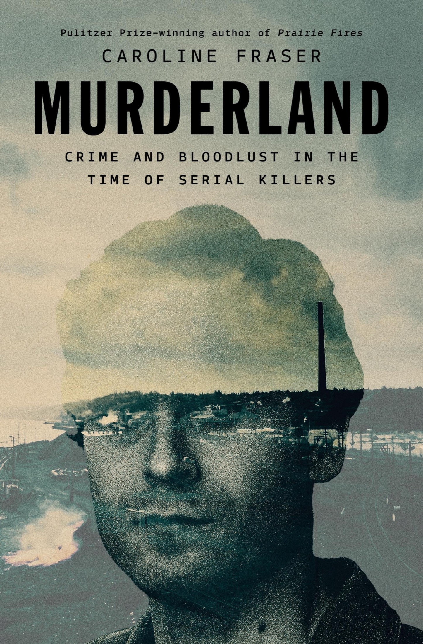 Murderland: Crime and Bloodlust in the Time of Serial Killers