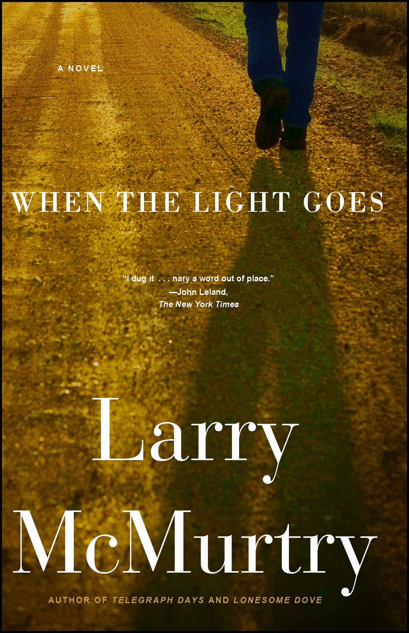 When the Light Goes: A Novel