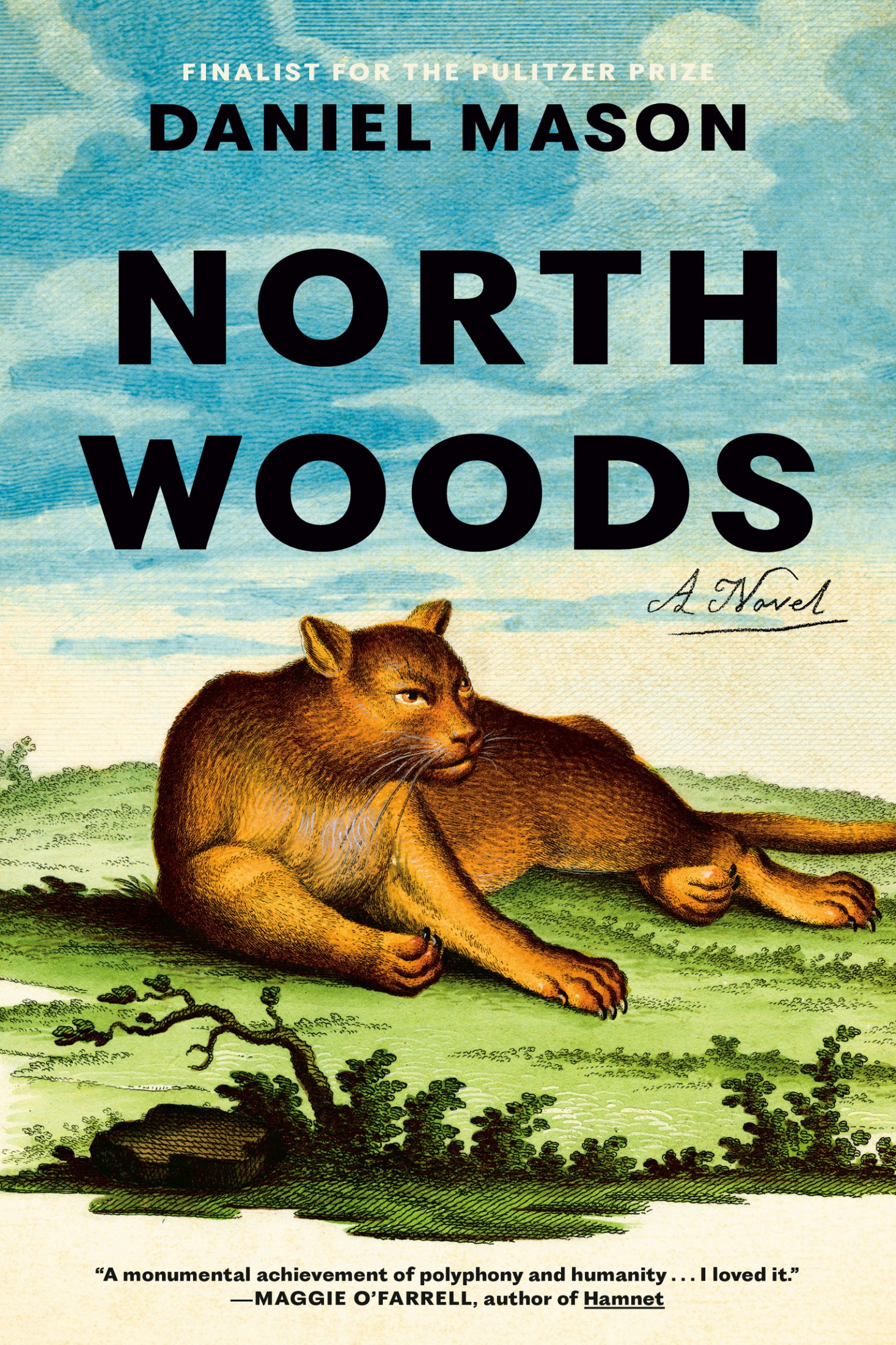 North Woods: A Novel
