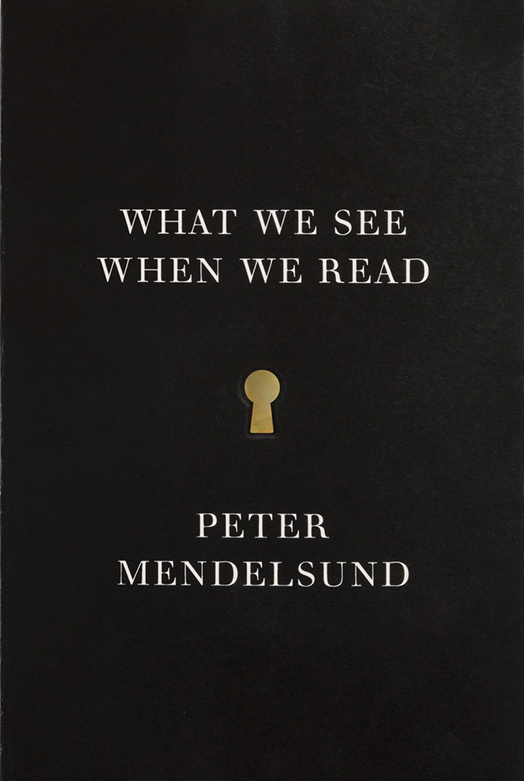 What We See When We Read (9780804171649)